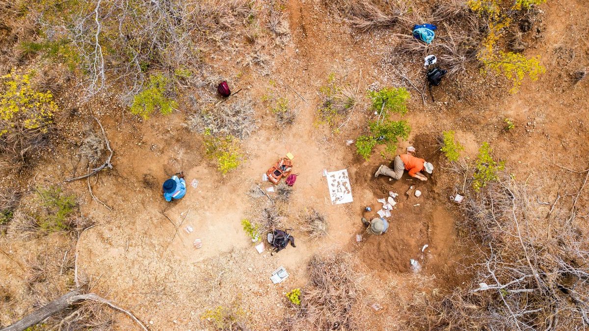 Paleontologové našli v Zimbabwe kostru nejstaršího afrického dinosaura
